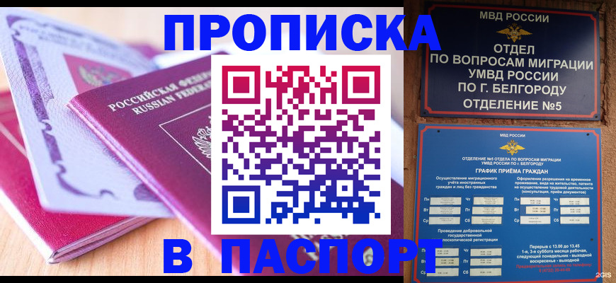 временная регистрация законно в Новоалтайске